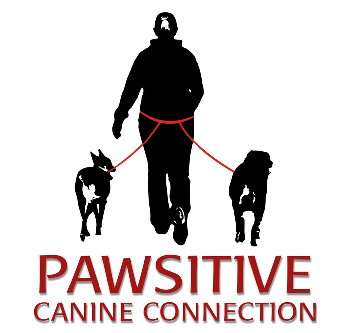 Pawsitive Canine Connection